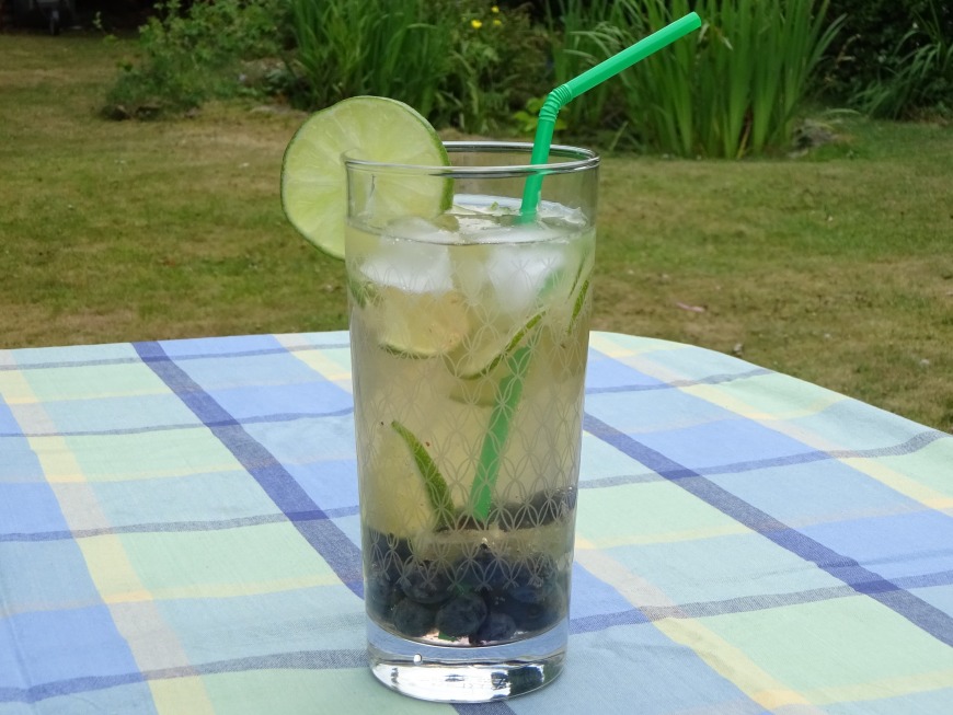 Ginger, Lime and Blueberry Mocktail